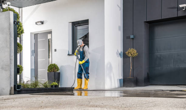 Best Brick and Stone Cleaning in Northfield, KY